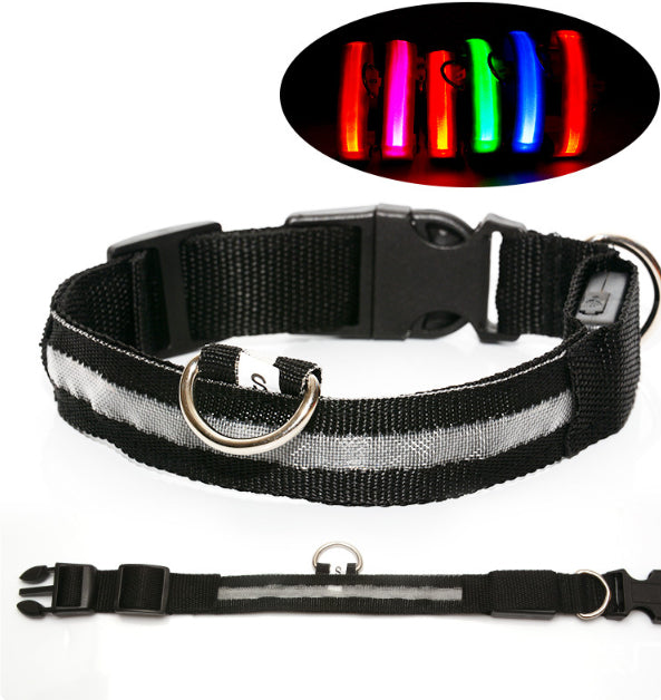 Sicherheits-LED-Hundehalsband